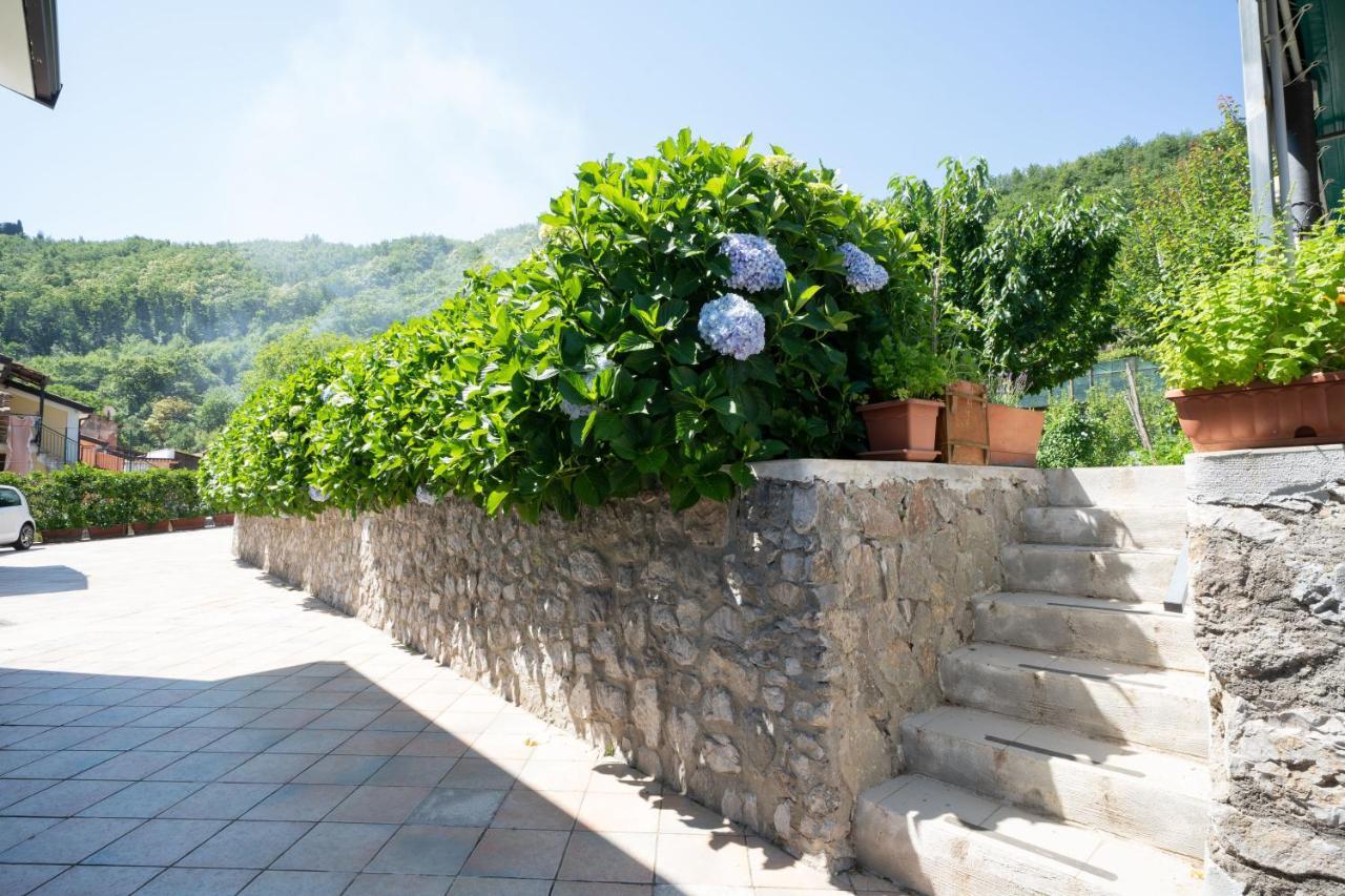 Apicella Casa Vacanze Villa Tramonti Exterior photo